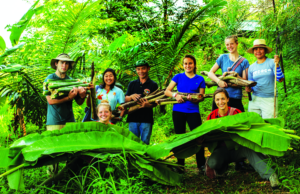 Students in Agroforest