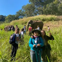 Elephants while hiking isn't something you see every day!