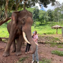 Meeting an elephant at Patara Elephant Conservation Center